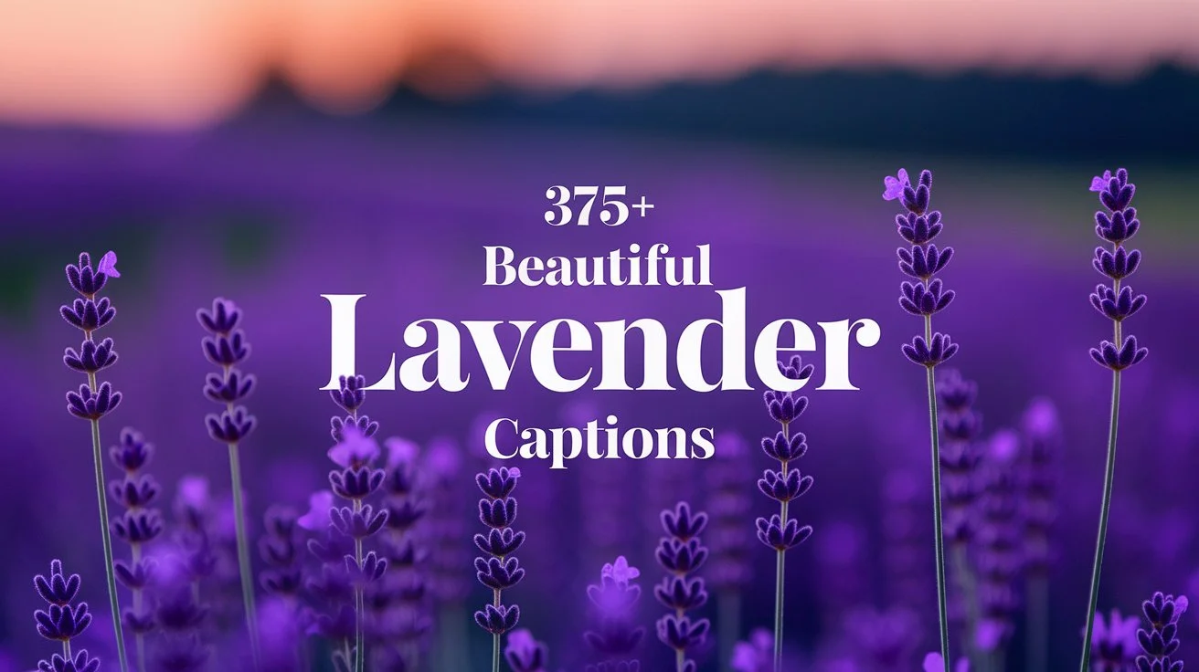 Beautiful Lavender Captions