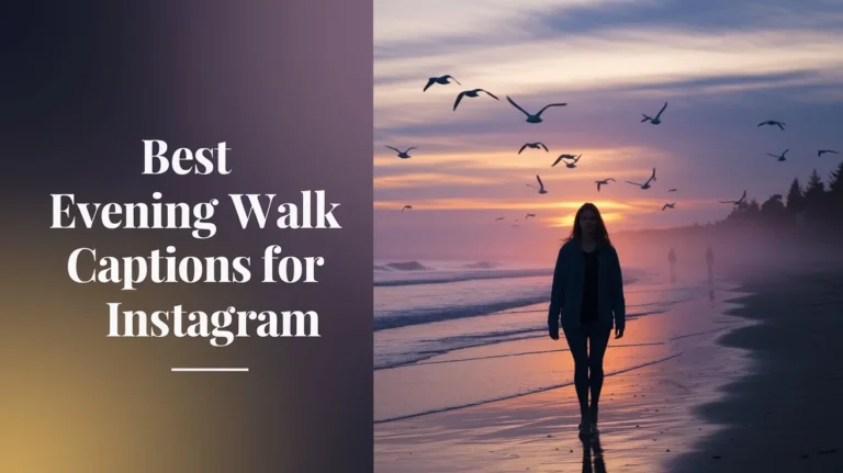 Best Evening Walk Captions for Instagram