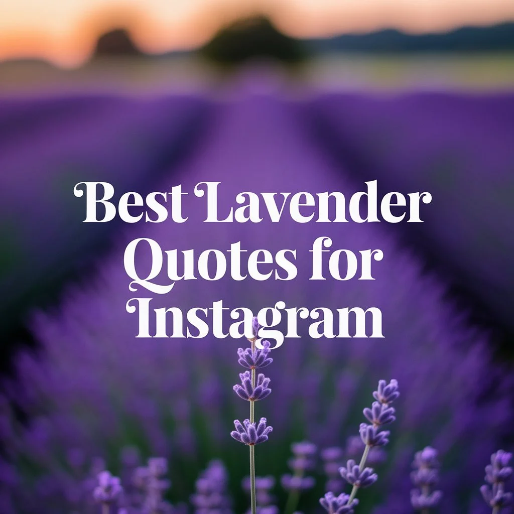 Best Lavender Quotes for Instagram