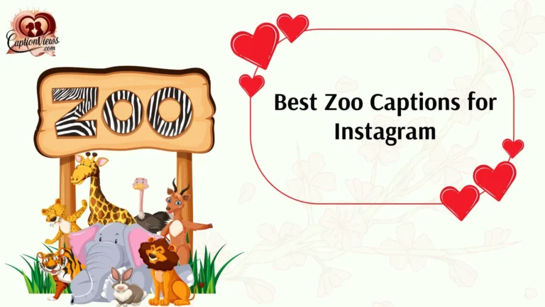 Best Zoo Captions for Instagram