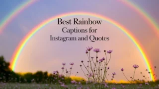 401+ Best Rainbow Captions for Instagram & Quotes